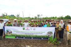 Berau Coal Dorong Kemandirian Pangan Lewat Penanaman Padi di Kampung Tasuk