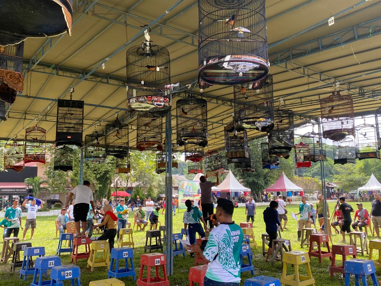 Arman Cup 2025 Sukses Digelar, Teluk Bayur Jadi Magnet Kicau Mania Nasional