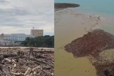 Viral Tumpukan Kayu Gelondongan Usai Banjir di Sumatera, Kemenhut: Bisa dari Pohon Lapuk – Illegal Logging