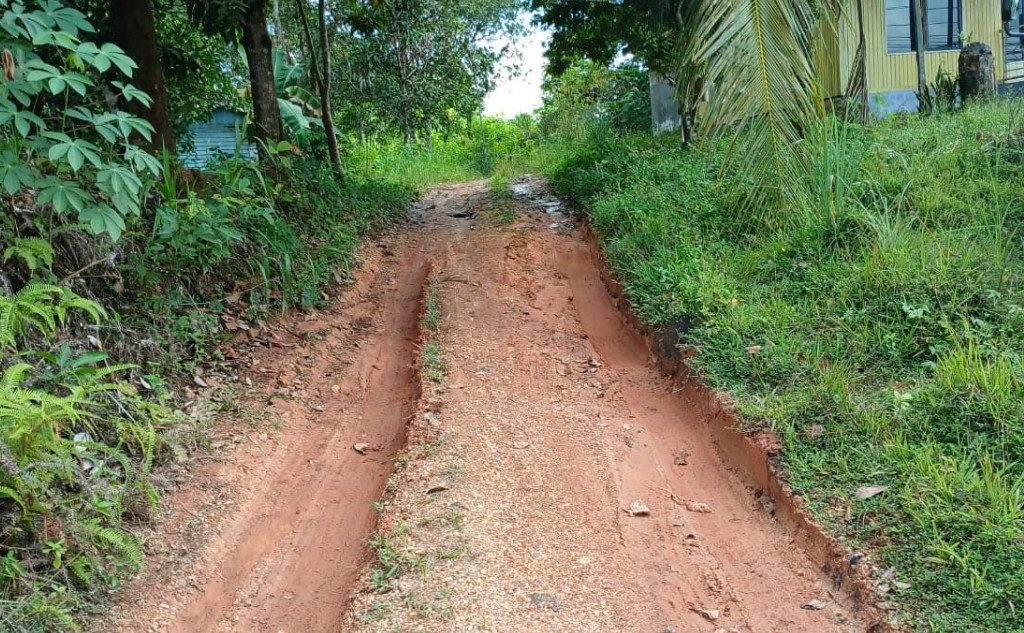 Kondisi jalan tanah di Gang Moly Sambaliung Berau (Adrikni/BT)