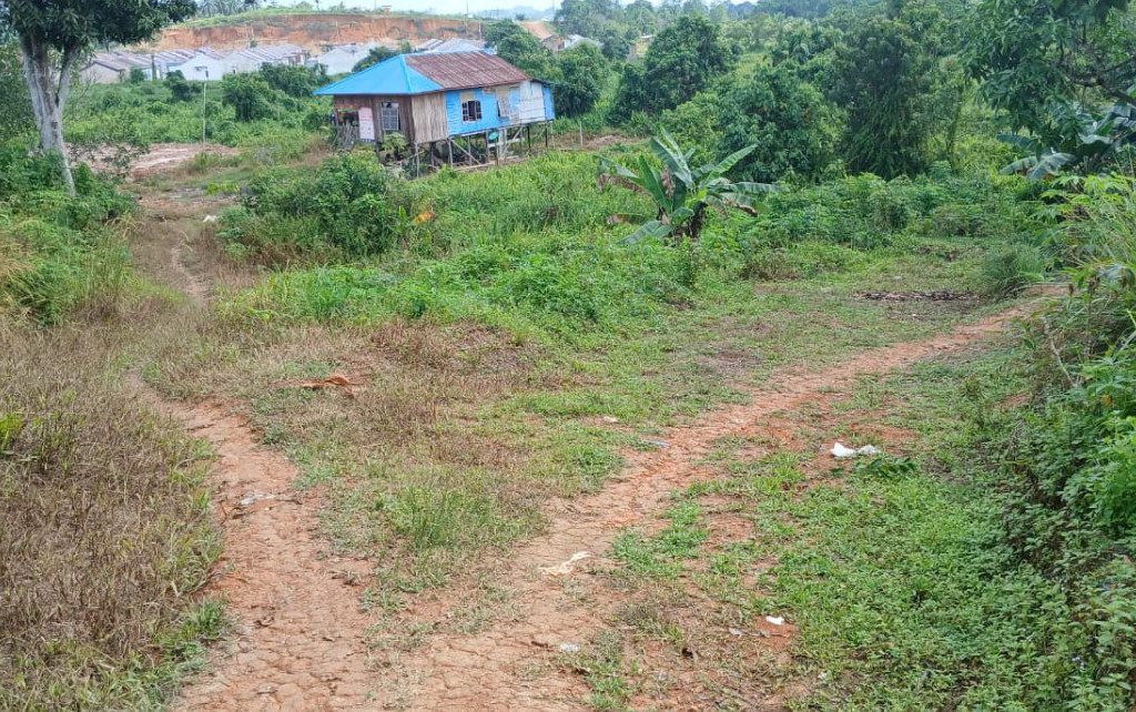 Kondisi jalan tanah di Gang Moly Sambaliung Berau (Adrikni/BT)