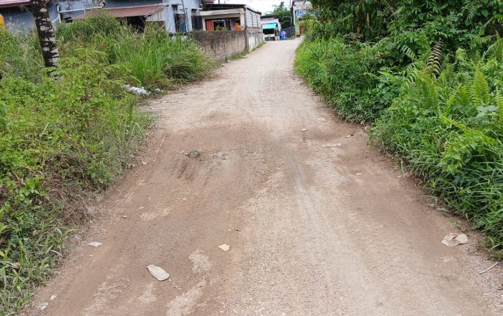 Kondisi jalan di Gang Dayak, Sambaliung, Berau (Adrikni/BT)