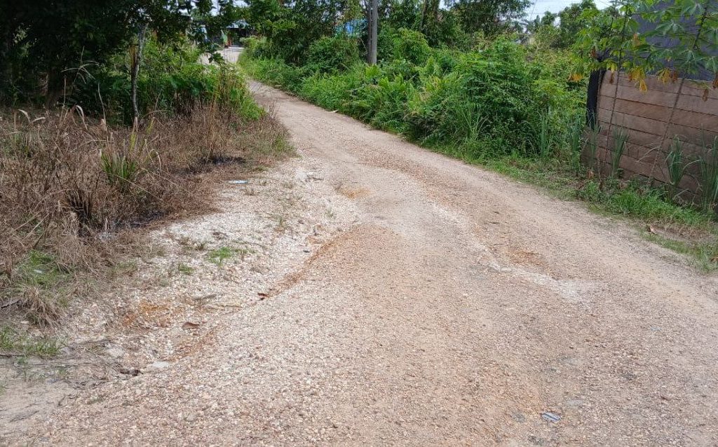 Kondisi jalan di Gang Dayak, Sambaliung, Berau (Adrikni/BT)