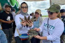 Berau Terapkan Ekonomi Biru Lewat Tambak Udang Secure, Pulihkan Mangrove dan Tingkatkan Produksi