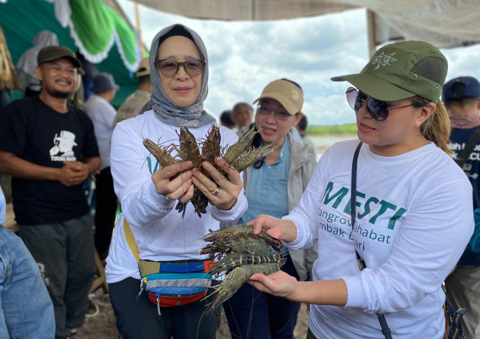 Berau Terapkan Ekonomi Biru Lewat Tambak Udang Secure, Pulihkan Mangrove dan Tingkatkan Produksi