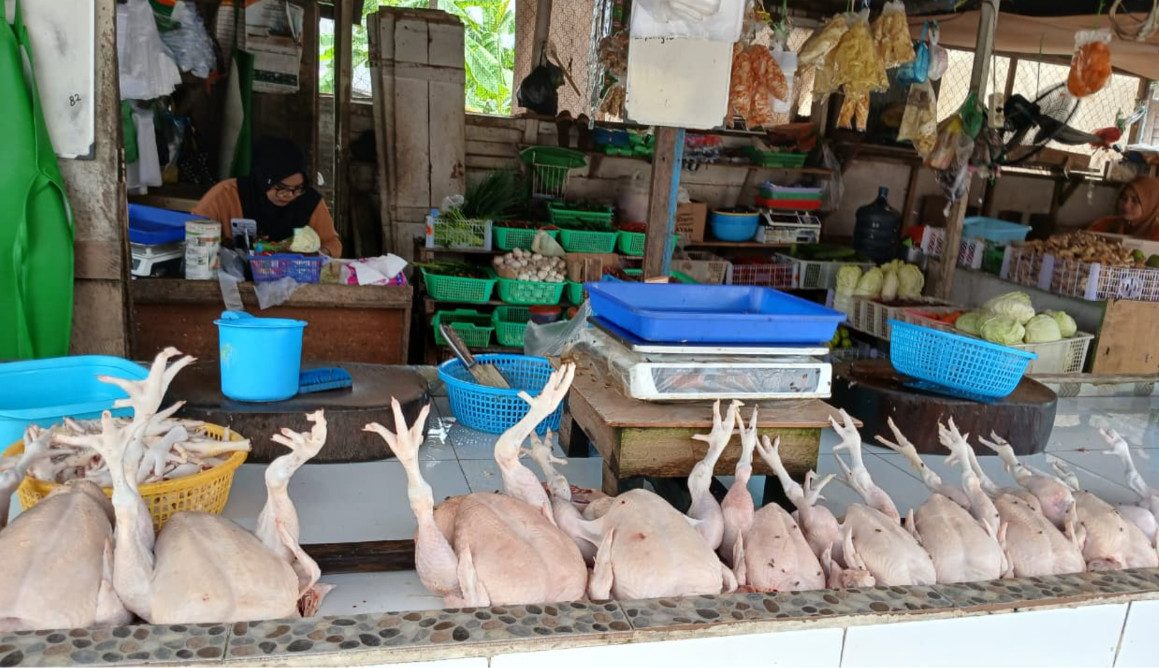 Inflasi Berau Agustus 0,46 Persen, Dipicu Kenaikan Harga Ayam Potong untuk MBG?