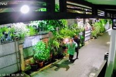 Viral Rumah DJ Donny Dilempar Bom Molotov Usai Terima Teror Bangkai Ayam