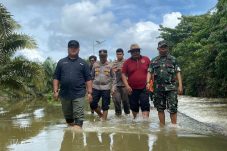 Deforestasi Jadi Bom Waktu di Berau, 145 Ribu Hektare Hutan Hilang, Wabup: Tidak Ada Lagi Kompromi!