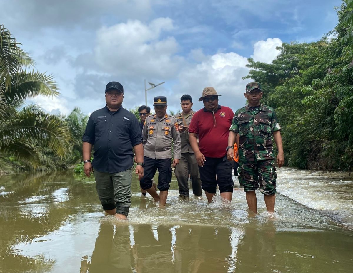 Deforestasi Jadi Bom Waktu di Berau, 145 Ribu Hektare Hutan Hilang, Wabup: Tidak Ada Lagi Kompromi!