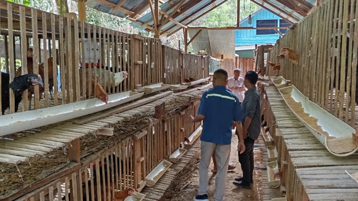 DTPHP Berau Monitoring Bantuan Unggas untuk Kelompok Wani Tani, Ini Temuannya