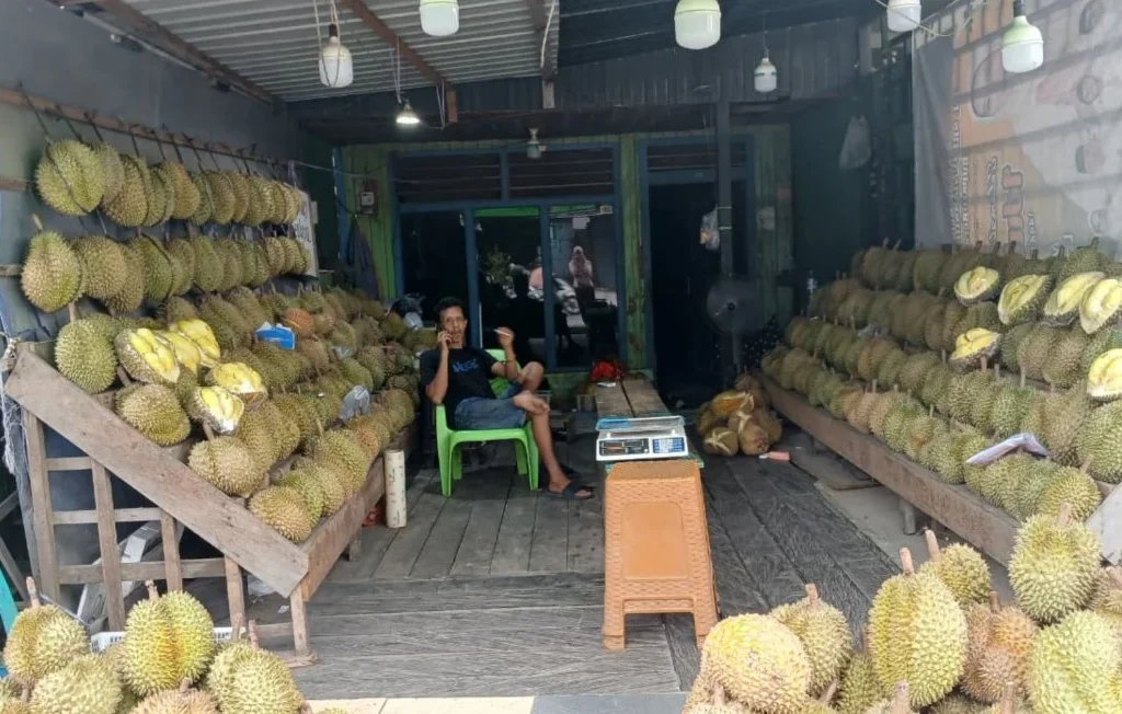 Pedagang durian di Jalan Durian 1 dan Jalan Durian 2, Tanjung Redeb, Berau (Adrikni/BT)