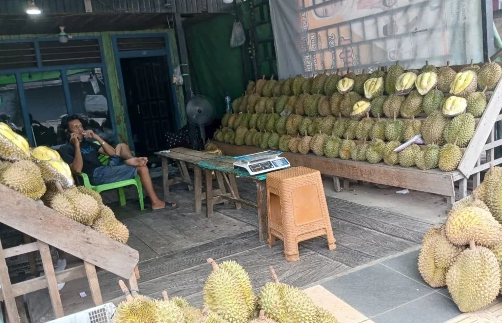 Pedagang durian di Jalan Durian 1 dan Jalan Durian 2, Tanjung Redeb, Berau (Adrikni/BT)