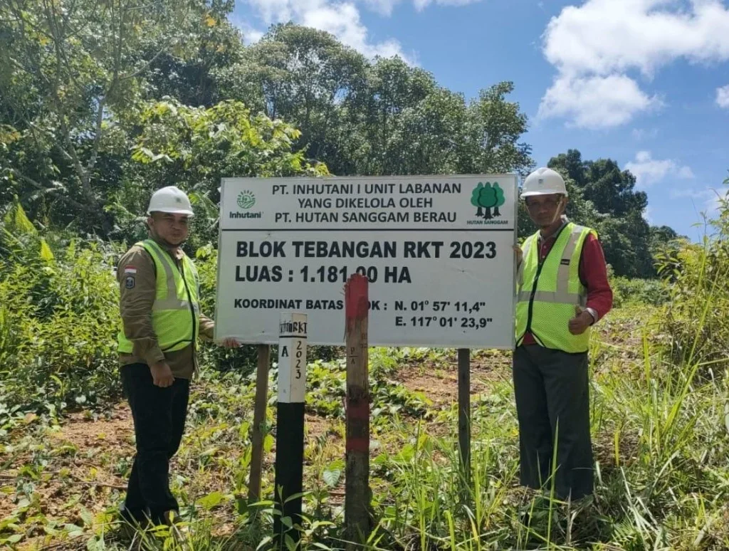 Perwakilan direksi PT Hutan Sanggam Berau melalukan peninjauan ke lokasi hutan.(Ist)