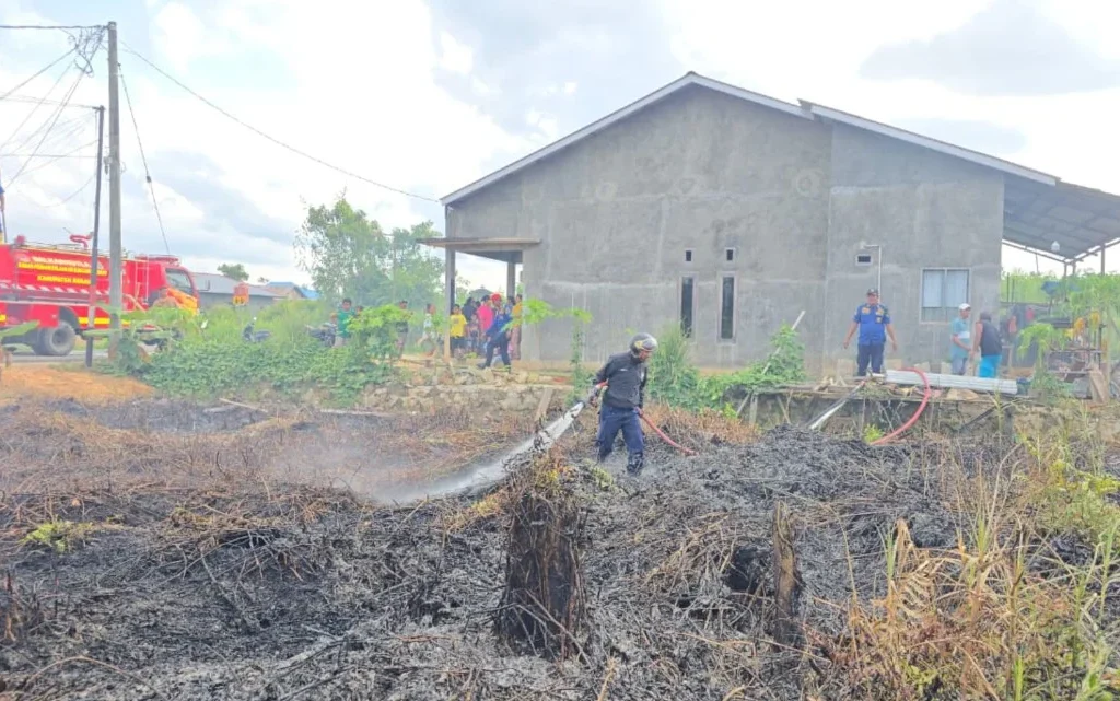 Damkar Berau berhasil memadamkan lahan gambut yang terbakar di Sambaliung, Berau (Ist)