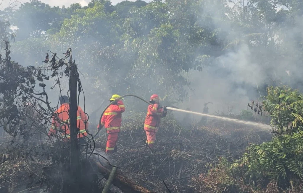 Damkar Berau berhasil memadamkan lahan gambut yang terbakar di Sambaliung, Berau (Ist)