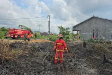 Lahan Gambut di Sambaliung Terbakar, Warga Sebut Hanguskan Lahan hingga Satu Hektar