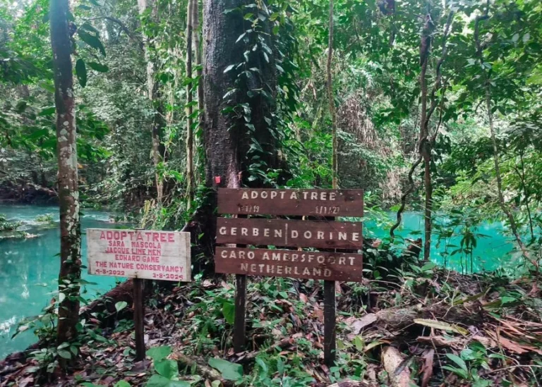 Destinasi wisata Danau Nyandeng di Kampung Merabu, Kelay, Berau (Ist)