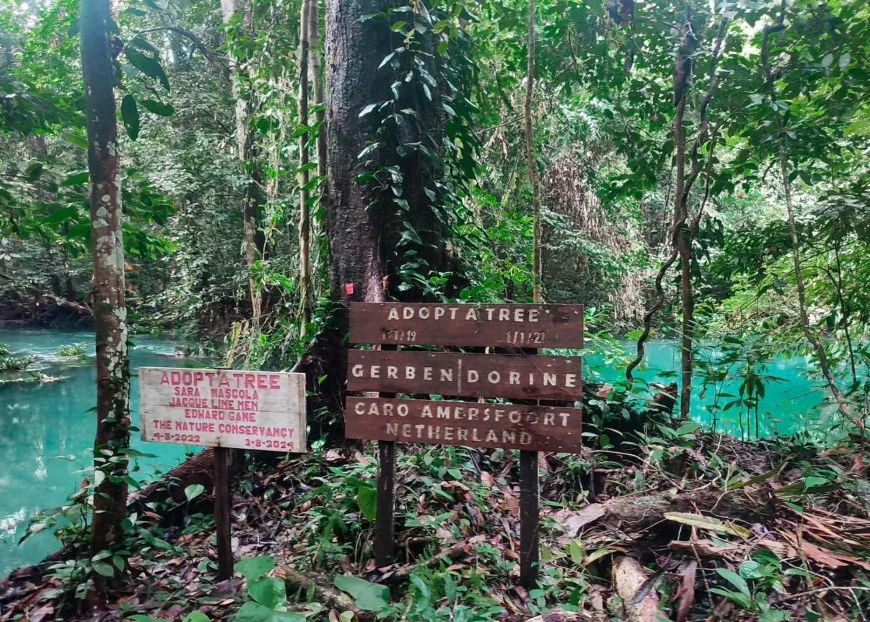 Menilik Keindahan Danau Nyandeng dan Puncak Ketepu: Destinasi Wisata di Kampung Merabu Berau