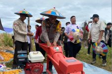 Peluang Usaha Baru Tanaman Hortikultura