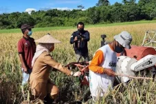 Pemprov Kaltim Setujui Usulan 2 Ribu Hektare Cetak Sawah Baru di Berau, Direalisasikan Tahun 2026 Ini