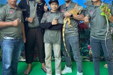 Mengenal Komunitas KOBRA, Wadah Pencinta Reptil dan Amphibi di Berau