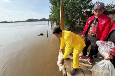 Peringati HUT ke-79 Megawati Soekarnoputri, DPC PDIP Berau Tebar 7.900 Benih Ikan di Sungai Kelay