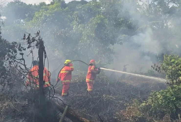 BMKG Ingatkan Bahaya Karhutla, 18 Titik Panas Terpantau di Berau