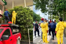 Bukan Api Tapi Lebah, Aksi Damkar Selamatkan Siswa SDN 04 Tanjung Redeb