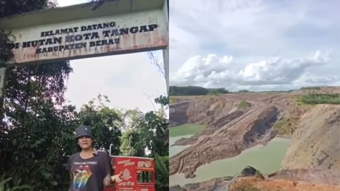 Viral aktivis dan musisi Melanie Subono menunjukkan kondisi terkini Hutan Kota Berau (Instagram/@melaniesubono)