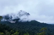 Dukung Destinasi Wisata Puncak Rejeki, Disbudpar Berau Perkuat Kapasitas SDM Pokdarwis