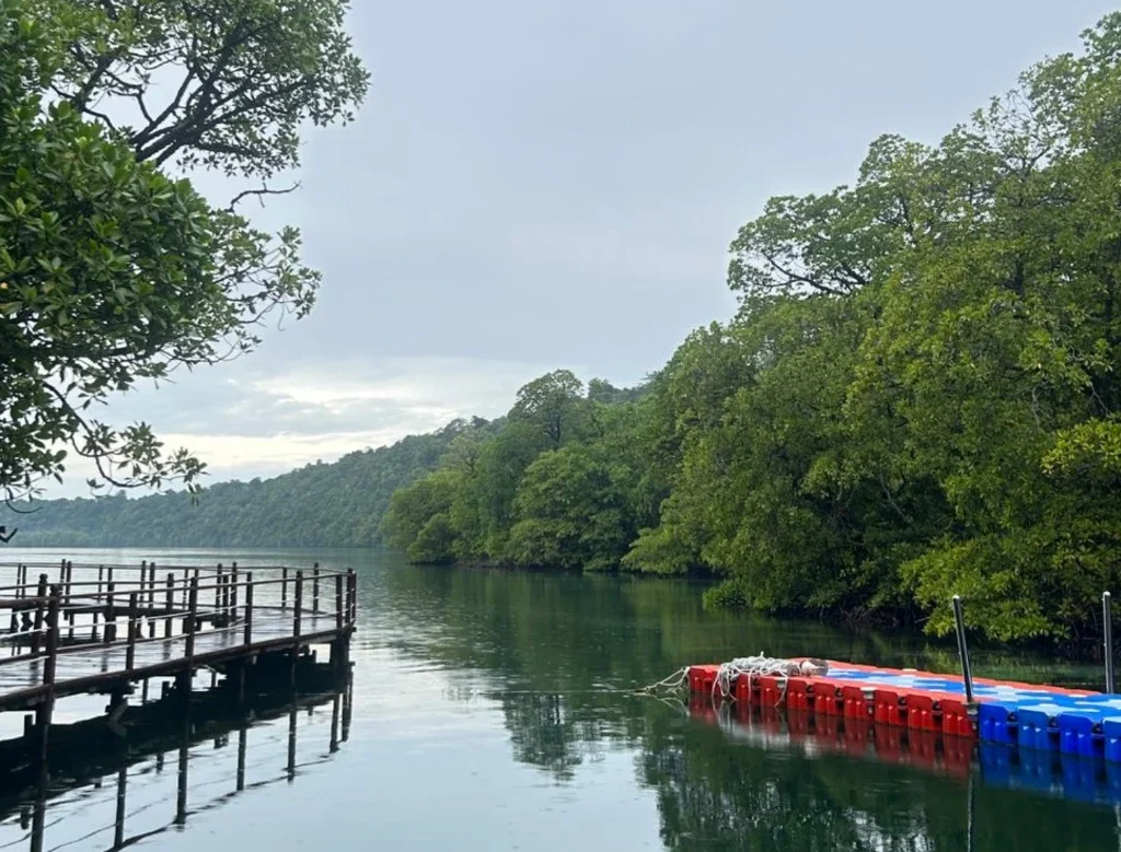 Danau Kakaban habitat ubur-ubur (BT)