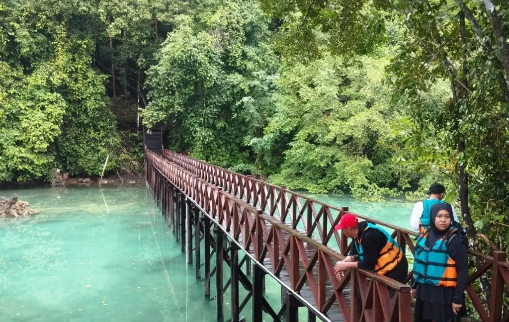 Jalan setapak menuju Danau Kakaban, Pulau Kakaban Berau (BT)