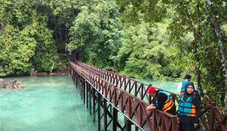 Jalan setapak menuju Danau Kakaban, Pulau Kakaban Berau (BT)