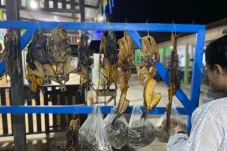 Gideon Minta Pelaku Usaha Tak Aji Mumpung saat Libur Lebaran, Jaga Nama Baik Pariwisata Berau