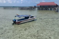 Jadwal dan Harga Tiket Speedboat ke Pulau Derawan – Pulau Maratua, Catat untuk Liburan di Berau Kaltim