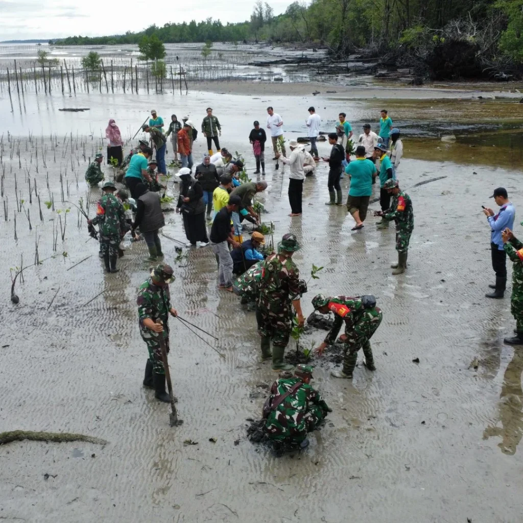 Kegiatan penanaman mangrove yang diinisiasi DLHK Berau bersama sektor swasta dan BUMN di Kampung Dumaring, Kecamatan Talisayan. (Istimewa)