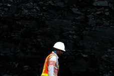 Berau Coal Tak Kena Pemangkasan Produksi Batubara, Ini Penjelasan Kementerian ESDM