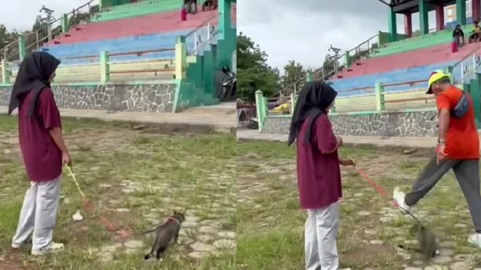 Viral seorang kakek di Blora, Jateng tendang kucing hingga sakit dan kemudian meninggal (Instagram/@aridaarz)