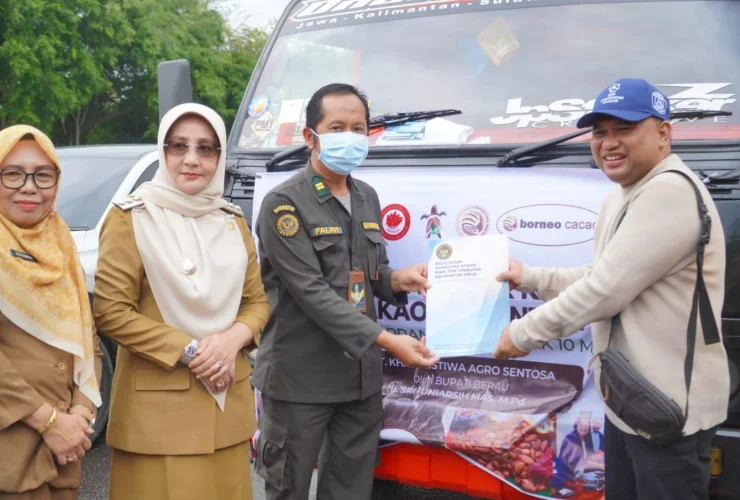 Ekspor ke Prancis Jadi Bukti Kakao Berau Diakui Dunia, Saatnya Fokus Hilirisasi Produk Premium