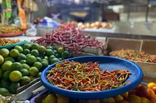 Pedasnya Kelewatan! Harga Cabai Rawit di Berau Tembus Rp180 Ribu Per Kg, Warga: Beli Rp5 Ribu Sudah Tak Dapat