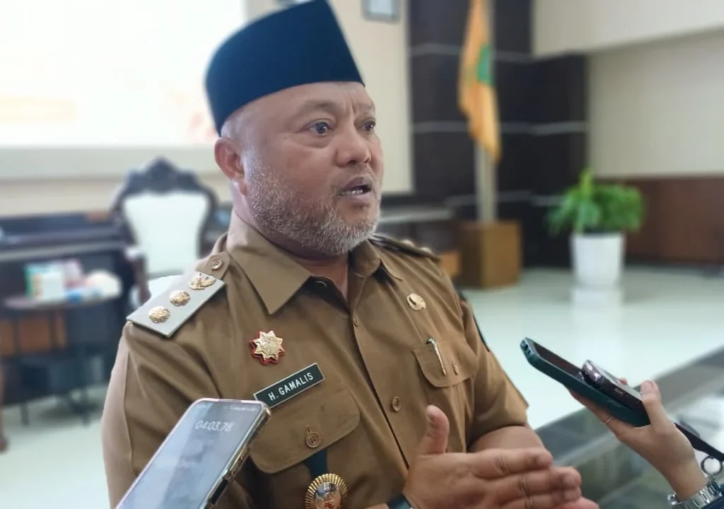 Wakil Bupati Berau, Gamalis. (Adrikni/BT)
