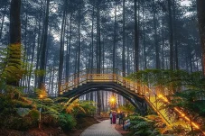 Forest Healing & Orchid Experience Tubaan, Destinasi Healing Terbaru di Berau yang Gabungkan Alam dan Konservasi