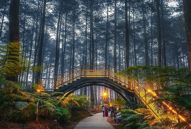 Forest Healing & Orchid Experience Tubaan, Destinasi Healing Terbaru di Berau yang Gabungkan Alam dan Konservasi