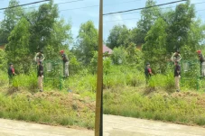 Warga Tanjung Redeb Berau Resah Monyet Hitam Berkeliaran, Kini Petugas Pasang Jerat