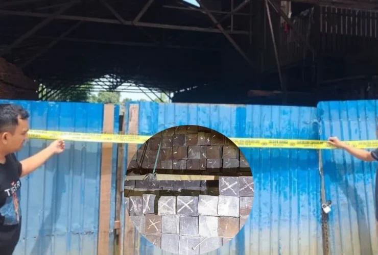 OTT Truk Pengangkut Kayu Ilegal di Balikpapan Kaltim, Ungkap Penumpukan di Samarinda