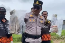 Heboh! Tiga Jari Dalam Toples di Samarinda Kaltim, Buat Syok Pekebun Cabai