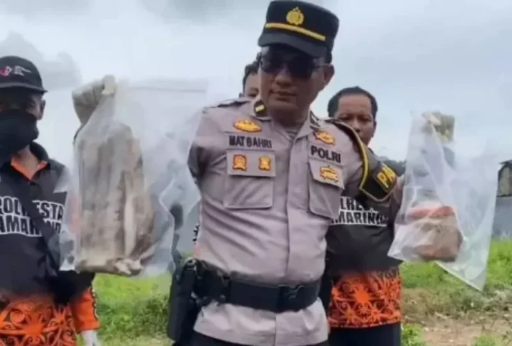 Heboh! Tiga Jari Dalam Toples di Samarinda Kaltim, Buat Syok Pekebun Cabai
