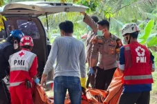 Geger! Mayat Sopir Membusuk, Meninggal Dunia di Pondok Kebun di Sangatta Kaltim Tanpa Tanda Kekerasan