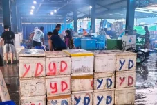 Cekcok Soal Sparepart Mobil, Tiga Pemuda Ini Keroyok Korban di TPI Selili Samarinda Kaltim