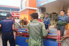 Gerak Cepat Disdamkarmat Berau Evakuasi Bekantan Masuk Rumah Warga